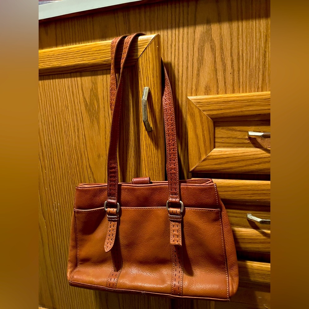 Fossil, A Beautiful Chestnut Color, Several Compa… - image 1